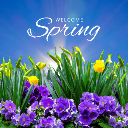 Collection image for: Spring Collection